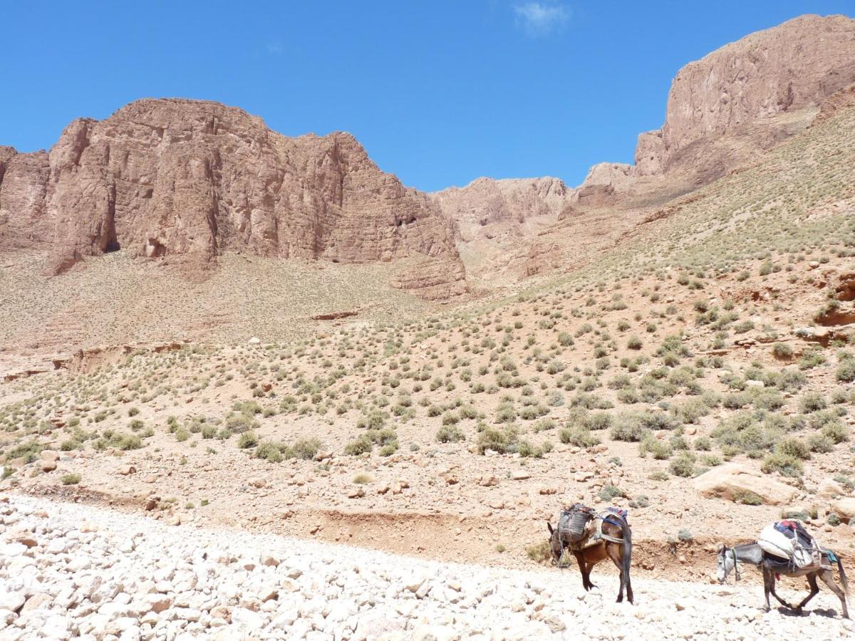 Готель Les Jardins De Todgha Gorges De Todra Tinghir Ait Baha Екстер'єр фото